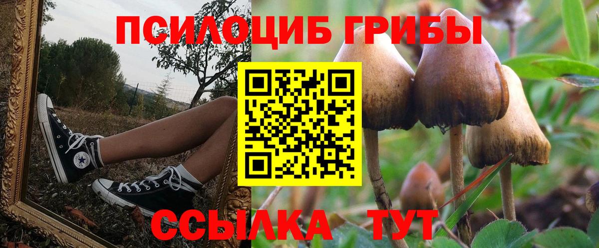 Галлюциногенные грибы ЛСД Керчь