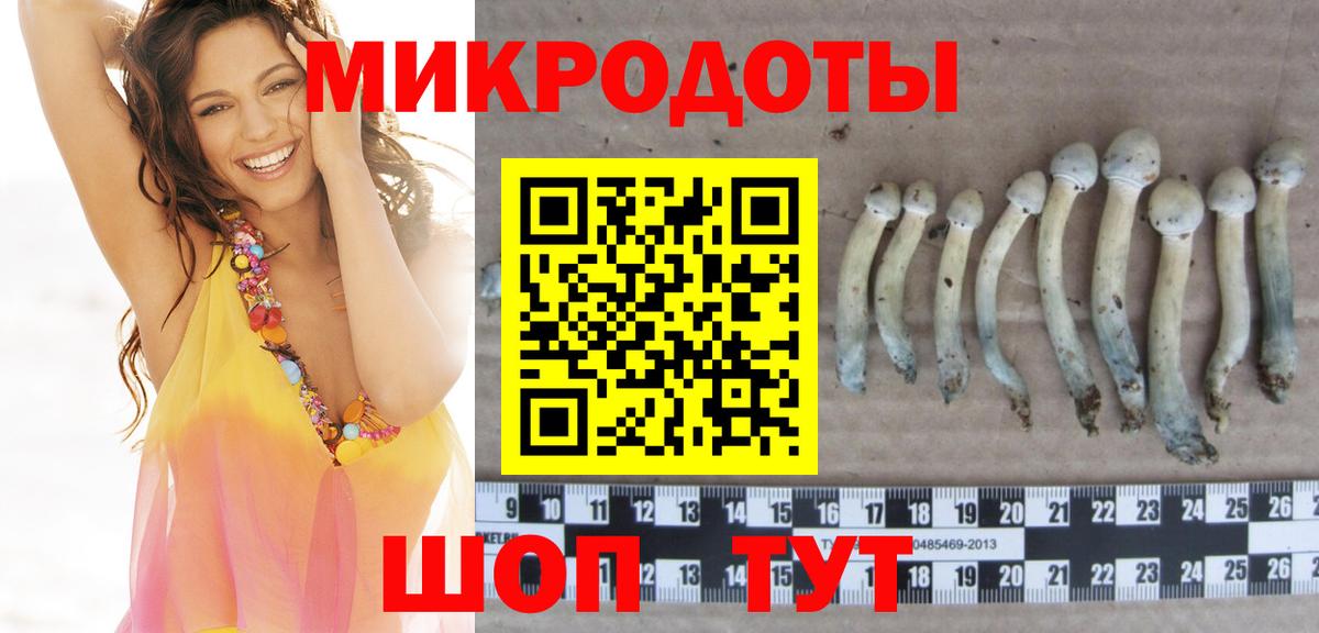 закладки  Вход с VPN  Керчь  Галлюциногенные грибы Psilocybe 